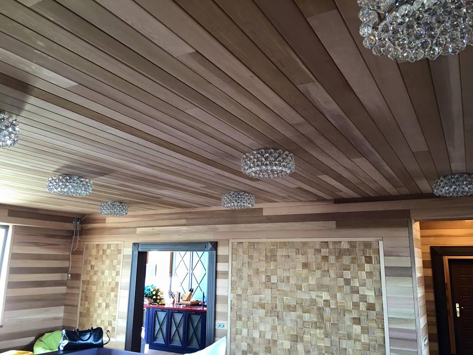 Cum arată apartamentul recent renovat al lui Renato Usatîi
