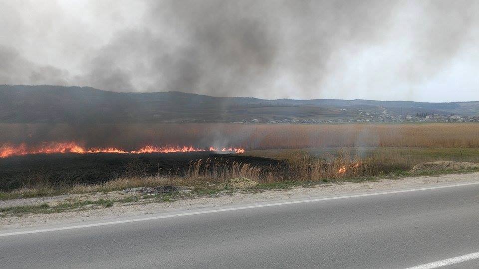 Incendiu de vegetație în raionul Sângerei