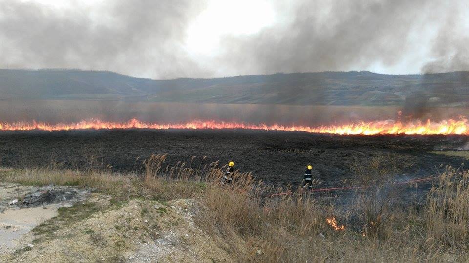 Incendiu de vegetație în raionul Sângerei