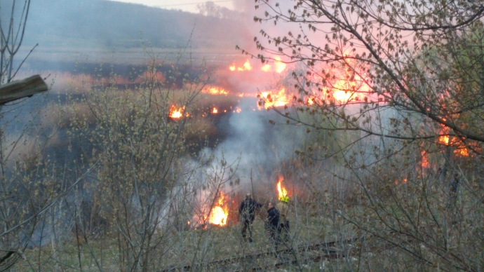 Incendiu de vegetație la Ungheni. Hectare de stuf ard în flăcări