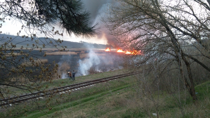Incendiu de vegetație la Ungheni. Hectare de stuf ard în flăcări