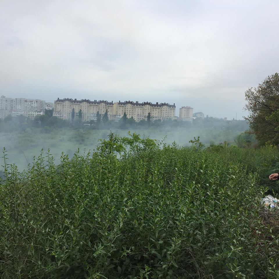 Incendiu de vegetație în capitală. Tot sectorul Botanica de sus este cuprins de fum
