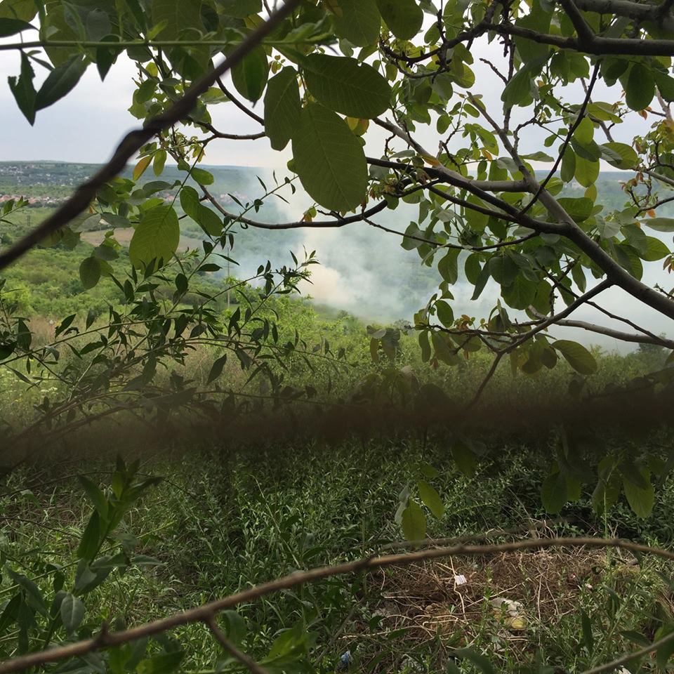 Incendiu de vegetație în capitală. Tot sectorul Botanica de sus este cuprins de fum