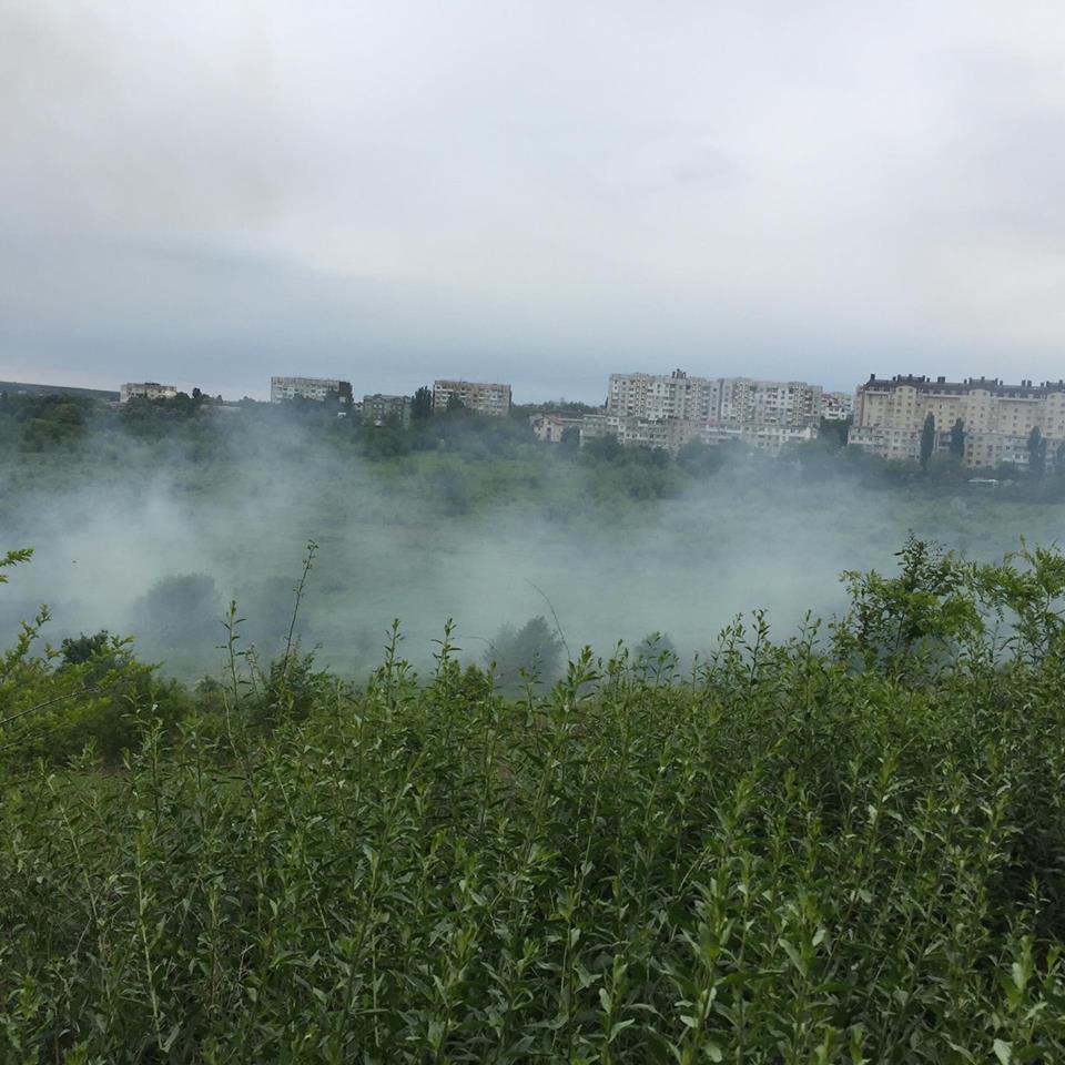 Incendiu de vegetație în capitală. Tot sectorul Botanica de sus este cuprins de fum