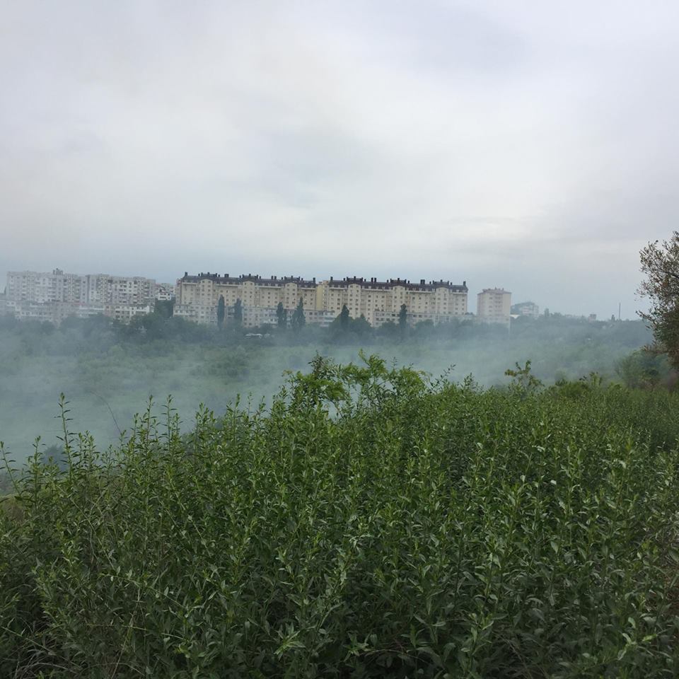Incendiu de vegetație în capitală. Tot sectorul Botanica de sus este cuprins de fum