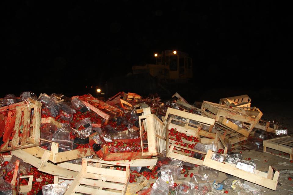 38 de tone de căpșuni din Ucraina au fost strivite de buldozerele rusești