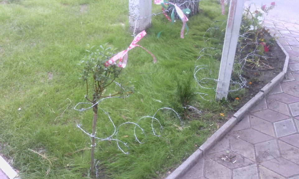 Gazon protejat cu sârmă ghimpată. Se întâmplă în Chișinău