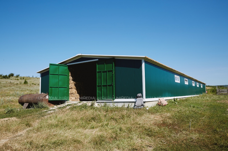 Cum birocrația și corupția din Moldova blochează afaceri. Antreprenor: Am vrut să construiesc un ranch în stil european...