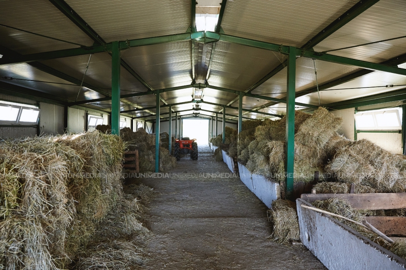 Cum birocrația și corupția din Moldova blochează afaceri. Antreprenor: Am vrut să construiesc un ranch în stil european...