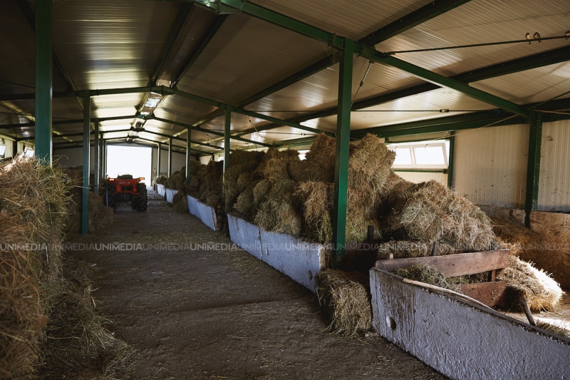 Cum birocrația și corupția din Moldova blochează afaceri. Antreprenor: Am vrut să construiesc un ranch în stil european...