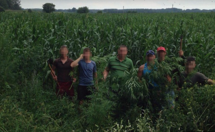 Droguri de un milion de lei și 14 grupări criminale au fost reținute de oamenii legii în cadrul operațiunii „Mac” 2016