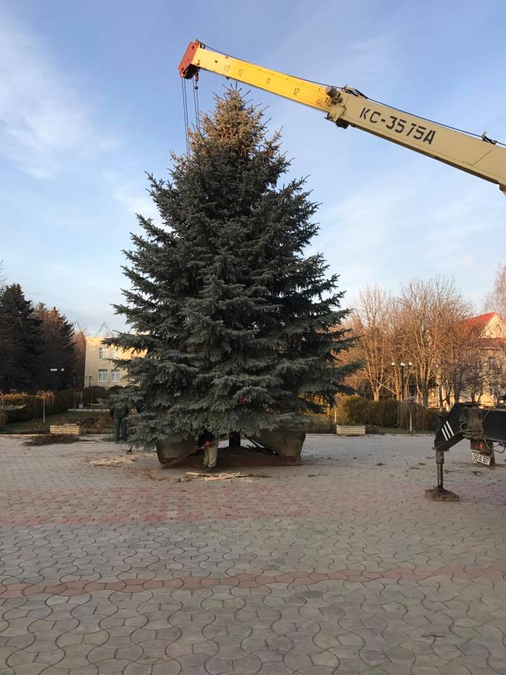 Pomii de Crăciun din țară vs cel de la Chișinău. Care e mai frumos