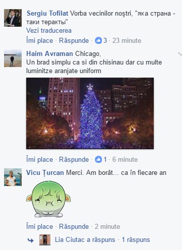 Așa va arăta bradul din Piața Marii Adunări Naționale