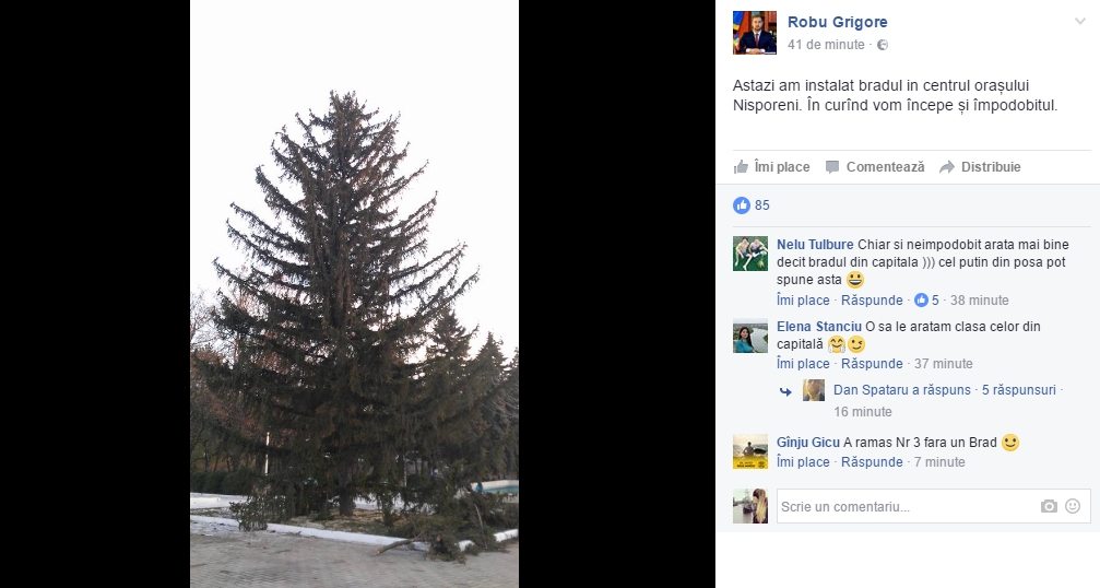 Pomii de Crăciun din țară vs cel de la Chișinău. Care e mai frumos