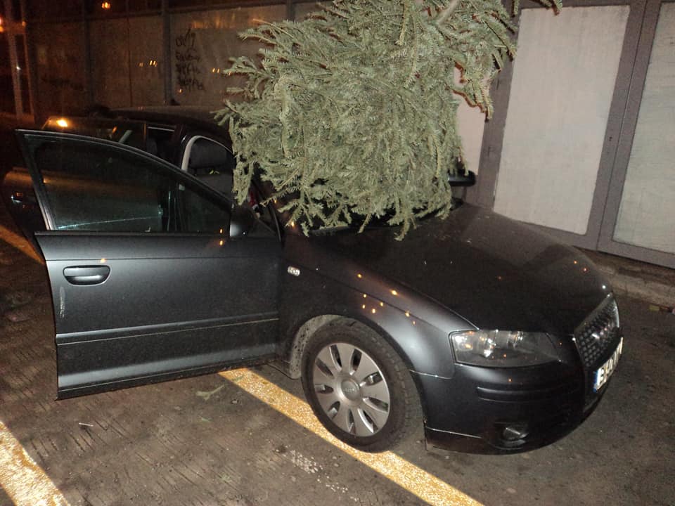 A aruncat bradul de la balcon, peste maşinile din parcare