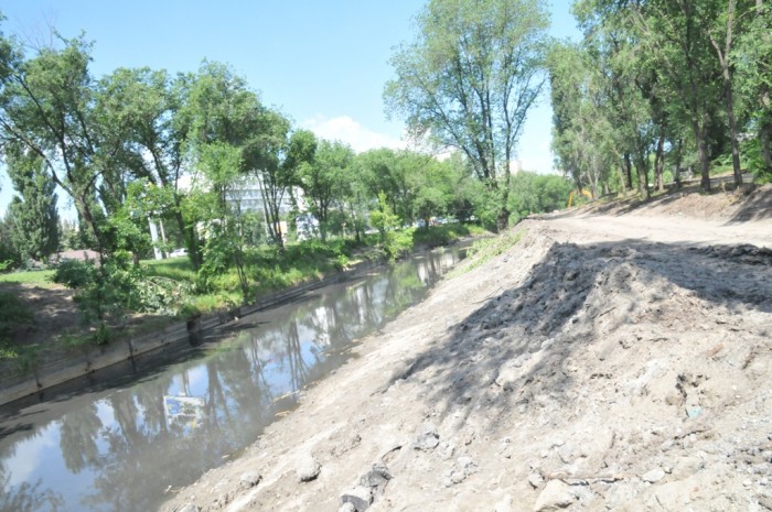 Curățarea râului Bîc, în vizorul Inspectoratul Ecologic: Primarul face populism