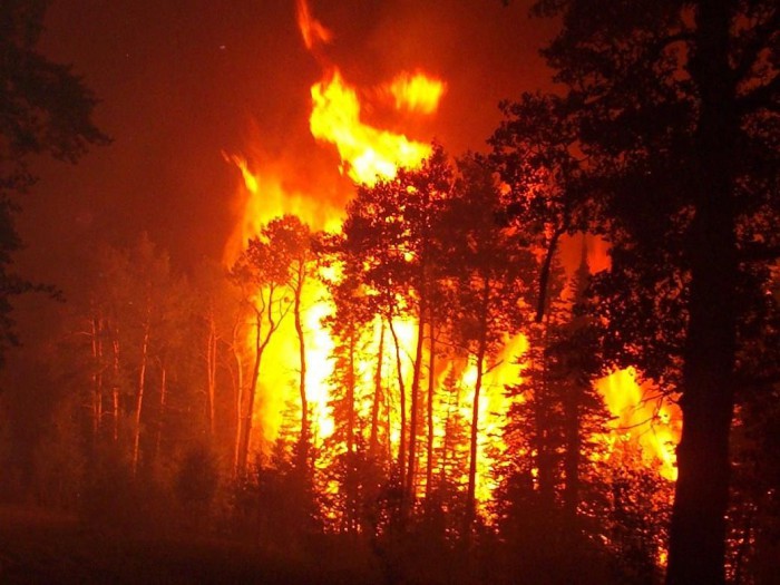 Cel puțin 15 morți, și alți 180 de oameni au fost dați dispăruți, în urma incendiilor din California Cel puțin 15 morți, și alți 180 de oameni au fost dați dispăruți, în urma incendiilor din California