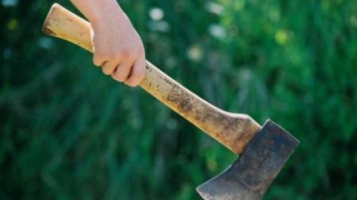 Doi tineri vor sta după gratii câte 30 de ani, după ce și-au omorât cu bestialitate consăteanul Doi tineri vor sta după gratii câte 30 de ani, după ce și-au omorât cu bestialitate consăteanul
