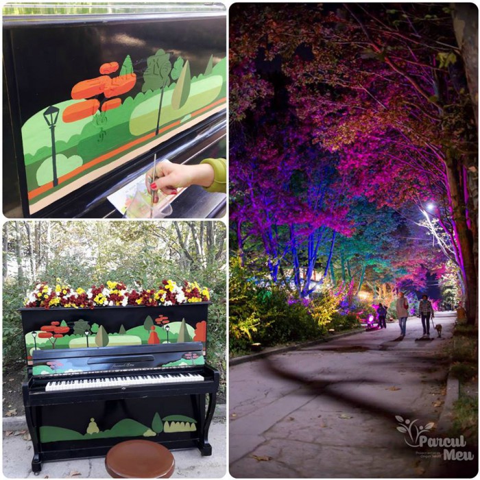 (foto) Aleea Colorată din parcul Valea Trandafirilor prinde viață: A fost instalat un pian multicolor (foto) Aleea Colorată din parcul Valea Trandafirilor prinde viață: A fost instalat un pian multicolor