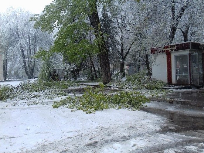(foto) Reacția Primăriei Chișinău la ninsoarea din mijlocul primăverii (foto) Reacția Primăriei Chișinău la ninsoarea din mijlocul primăverii