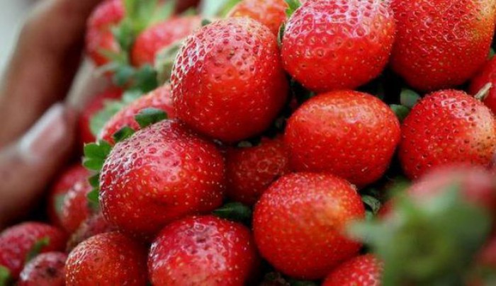 Fructele şi legumele cu cele mai multe pesticide Fructele şi legumele cu cele mai multe pesticide