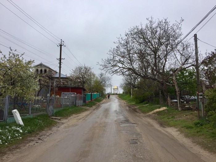 (galerie foto) În timp ce Chișinăul luptă cu stihia, nordul republicii este verde (galerie foto) În timp ce Chișinăul luptă cu stihia, nordul republicii este verde