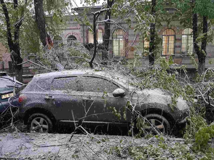 (galerie foto) Un copac a distrus câteva maşini pe strada Iorga (galerie foto) Un copac a distrus câteva maşini pe strada Iorga