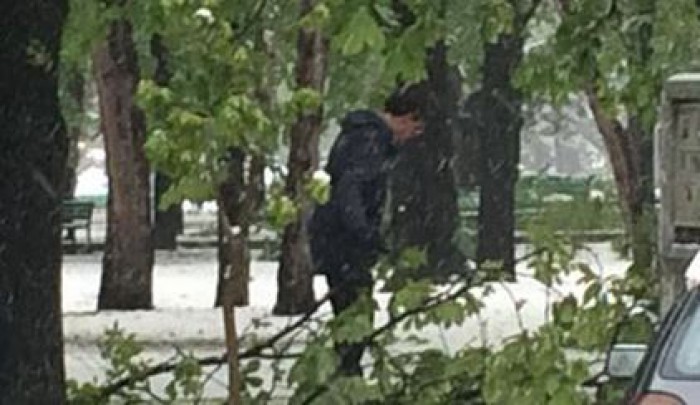 (video) Imaginea zilei: Dorin Chirtoacă strânge crengile căzute în parcul din Scuarul Catedralei (video) Imaginea zilei: Dorin Chirtoacă strânge crengile căzute în parcul din Scuarul Catedralei