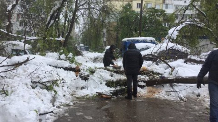 Ministerul Agriculturii: Nu sunt înregistrate pagube majore. Afectate au fost unele sere Ministerul Agriculturii: Nu sunt înregistrate pagube majore. Afectate au fost unele sere