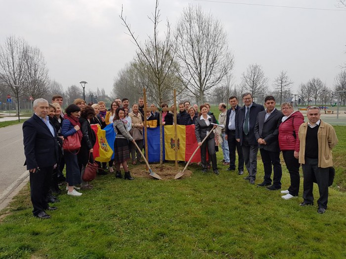 (foto/video) Primul pom, care inaugurează Aleea Diasporei din Italia, a fost sădit (foto/video) Primul pom, care inaugurează Aleea Diasporei din Italia, a fost sădit