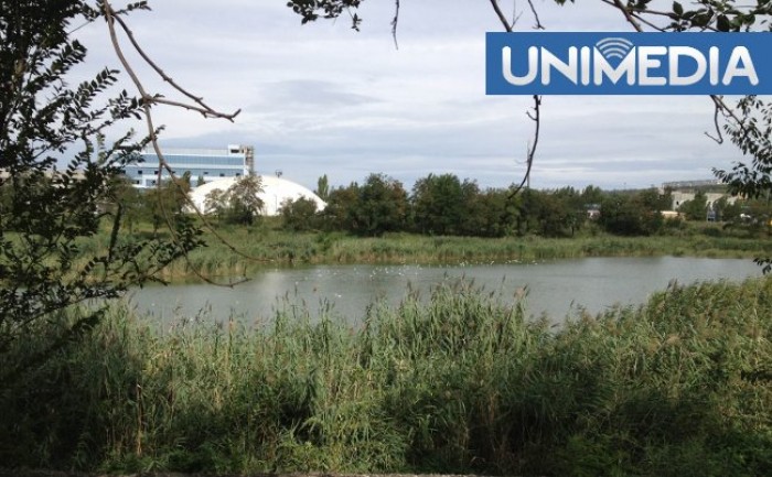 Problemele de la lacul din strada Albișoara se repetă: Locatarii din zonă, indignați de mirosul neplăcut Problemele de la lacul din strada Albișoara se repetă: Locatarii din zonă, indignați de mirosul neplăcut