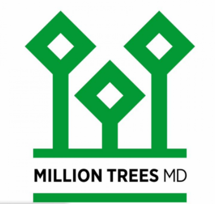 Proiect inedit: Un milion de arbori urmează să fie plantați în Republica Moldova Proiect inedit: Un milion de arbori urmează să fie plantați în Republica Moldova