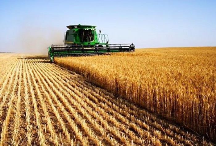 Promo-Lex: Republica Moldova riscă să piardă peste 260 de mii de hectare de pământ arabil Promo-Lex: Republica Moldova riscă să piardă peste 260 de mii de hectare de pământ arabil