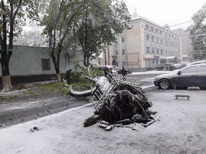(update) Situația în Chișinău la ora 16:00: Mai multe străzi au fost închise, iar peste 520 de copaci au fost rupți (update) Situația în Chișinău la ora 16:00: Mai multe străzi au fost închise, iar peste 520 de copaci au fost rupți