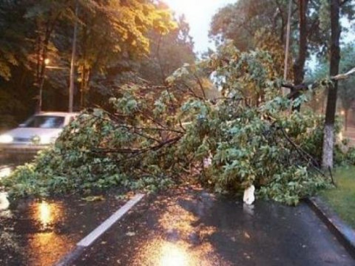 Situația în țară până la 8 dimineața: 79 de localități au rămas fără curent electric, iar zeci de copaci au fost doborâți Situația în țară până la 8 dimineața: 79 de localități au rămas fără curent electric, iar zeci de copaci au fost doborâți