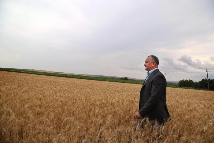 Slusari, despre propunerea lui Dodon de majorare a TVA-ul pentru agricultori până la 20%: „O lovitura fatală pentru sistemul agrar” Slusari, despre propunerea lui Dodon de majorare a TVA-ul pentru agricultori până la 20%: „O lovitura fatală pentru sistemul agrar”