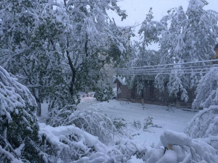 (update) Situația în Chișinău la ora 19:00. Toate străzile din oraș au fost curățate și deblocate (update) Situația în Chișinău la ora 19:00. Toate străzile din oraș au fost curățate și deblocate