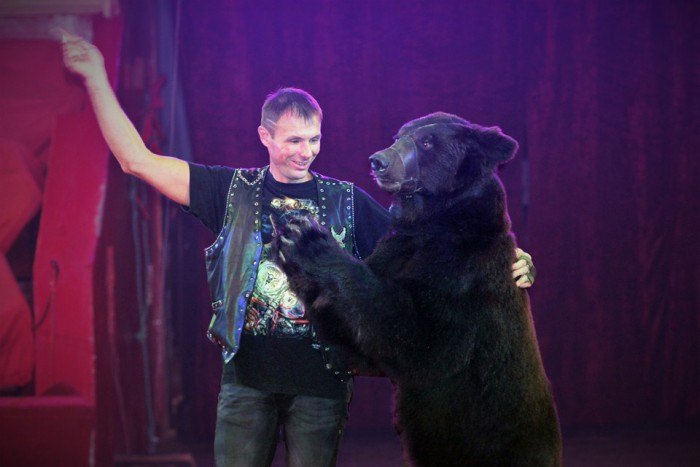 (video/foto) Circul din Chișinău invită la spectacol. Ce surprize vor fi (video/foto) Circul din Chișinău invită la spectacol. Ce surprize vor fi
