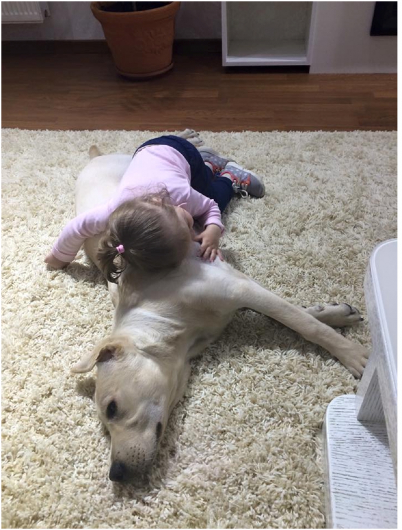 Democratul Sergiu Sîrbu cu locuinţă de lux primită în dar de la fratele său fotograf