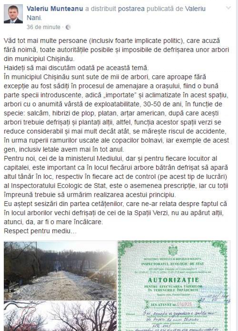 Valeriu Munteanu vine cu o reacție după ce ieri toți copacii de pe o alee din parcul Valea Trandafirilor au fost tăiați