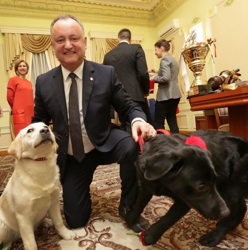 Cum și-a sărbătorit Igor Dodon cea de-a 42 aniversare: Mulțumesc familiei, fracțiunii PSRM, Mitropoliei Moldovei
