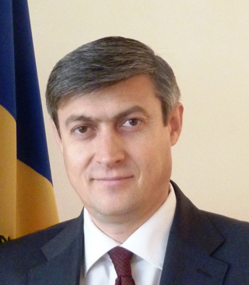 Cine sunt cei nouă candidați la funcțiile de ambasadori