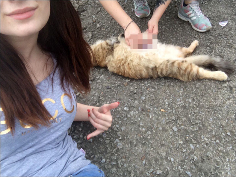 Rusia: Închisoare cu executare pentru două adolescente care au torturat animale