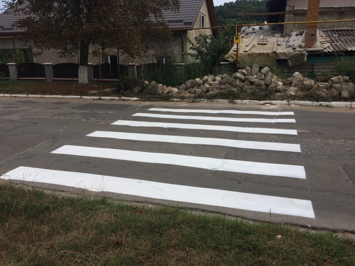 Poza zilei: O trecere de pietoni din Bardar. Unde duce aceasta