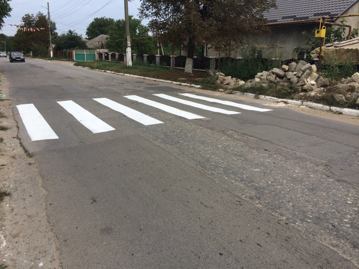 Poza zilei: O trecere de pietoni din Bardar. Unde duce aceasta