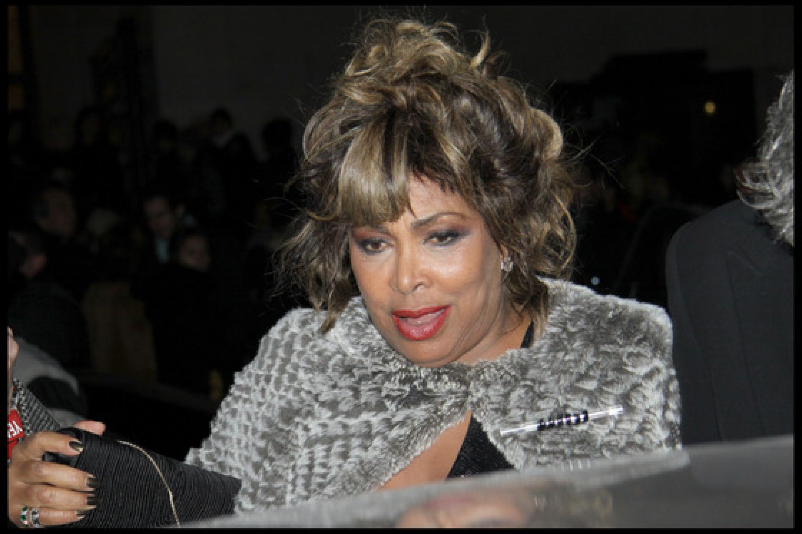 Fiul Cel Mare Al Cântăreței Americane Tina Turner S-A Sinucis | Monden ...