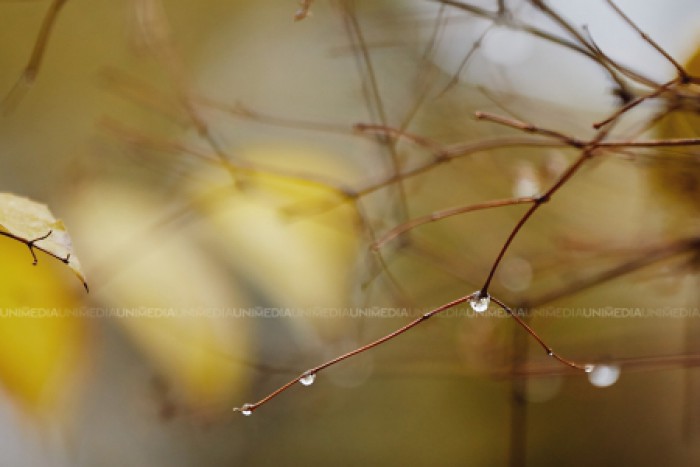 Prognoza Meteo 15 Grade In Termometre și Vreme Frumoasă Ne